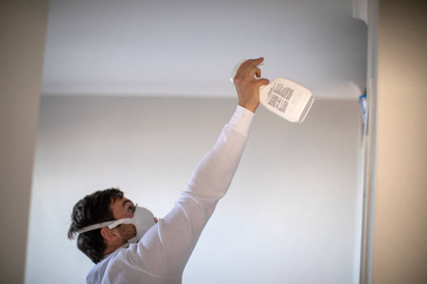 Office Mold Removal Services in Galveston, IN